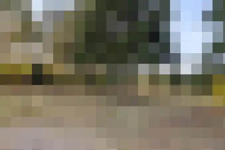 Breestraat 14 Maasbree thumbnail 37