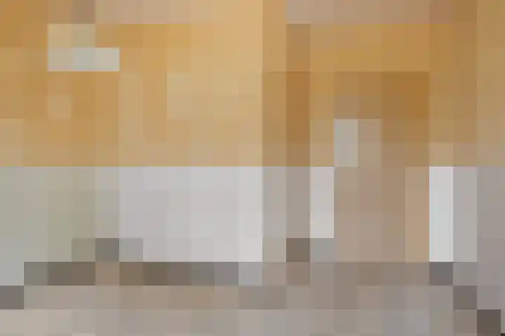 Breestraat 14 Maasbree thumbnail 9