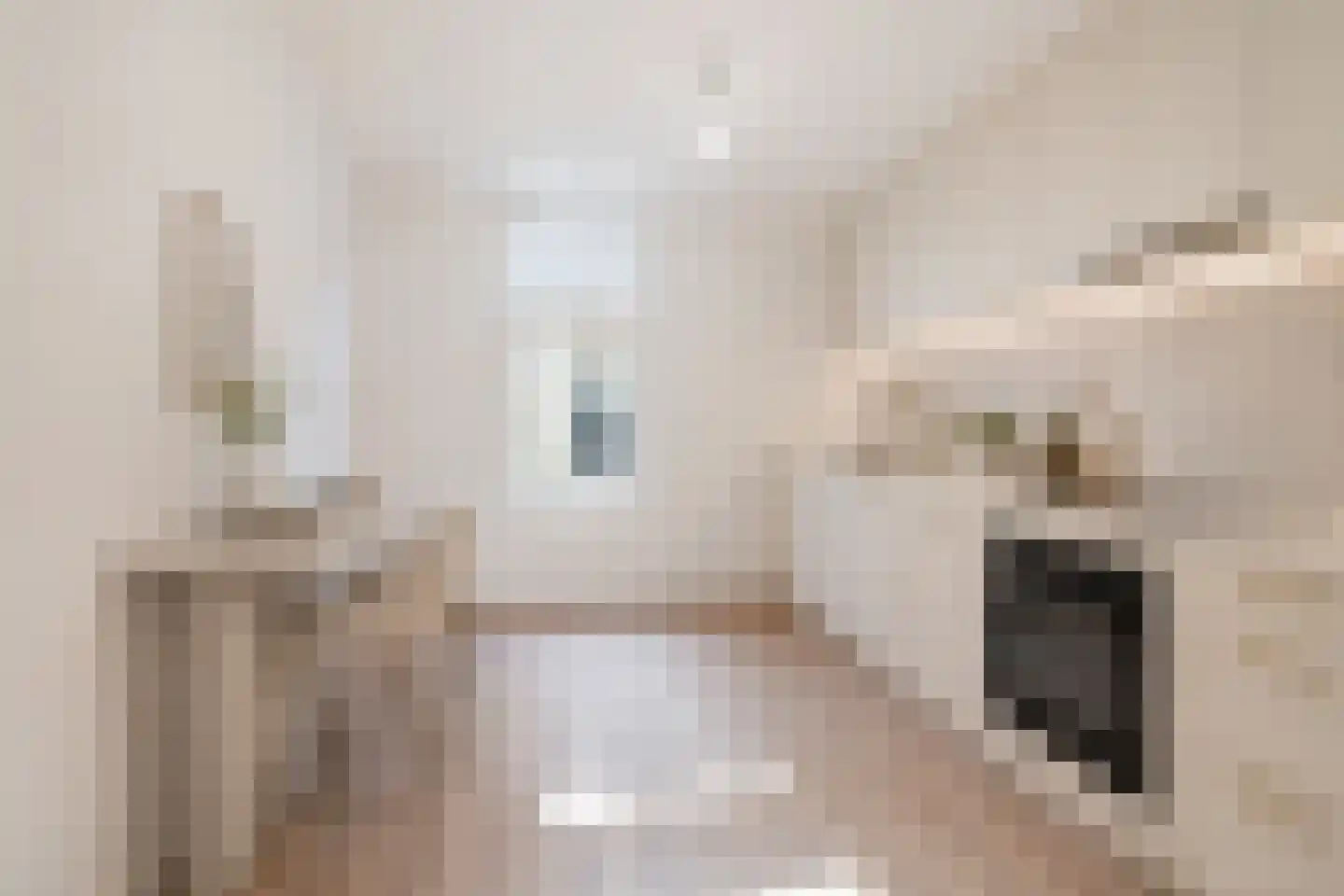 Breestraat 16 Westmaas thumbnail 12