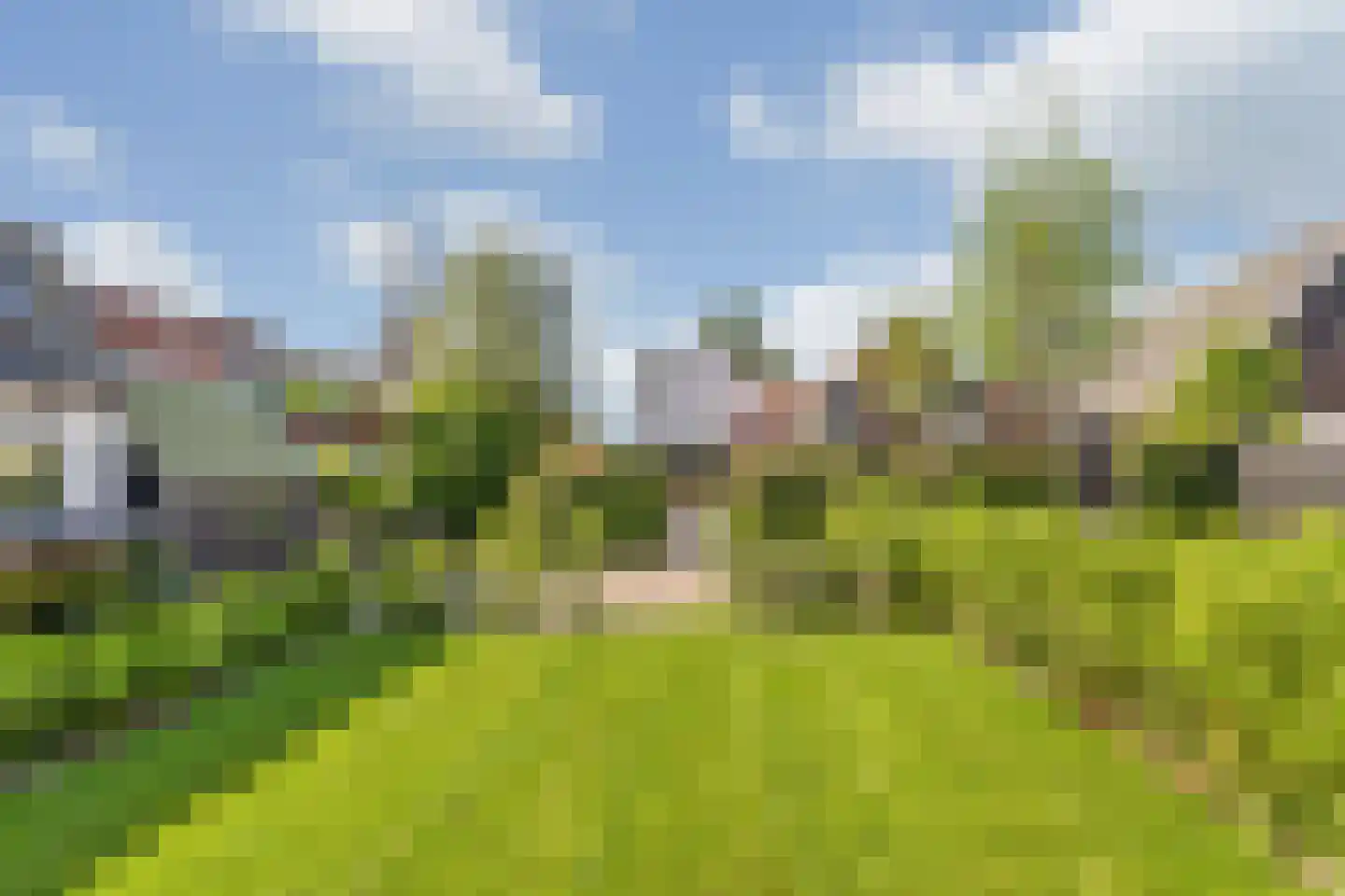 Breestraat 16 Westmaas thumbnail 30