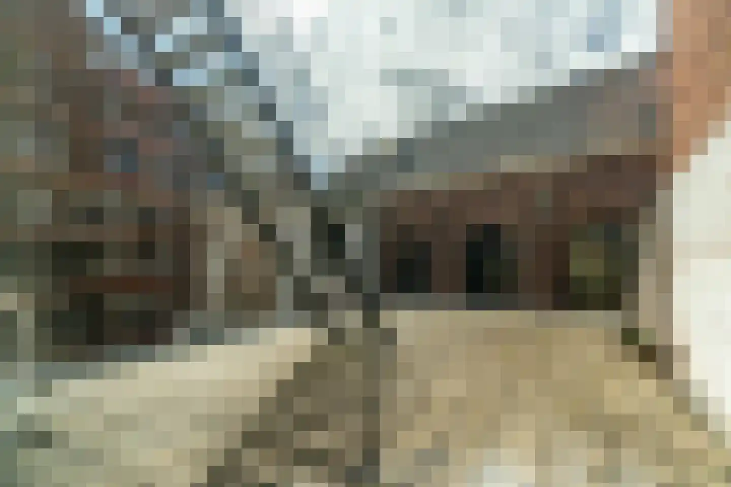 Breestraat 165 E Leiden thumbnail 6