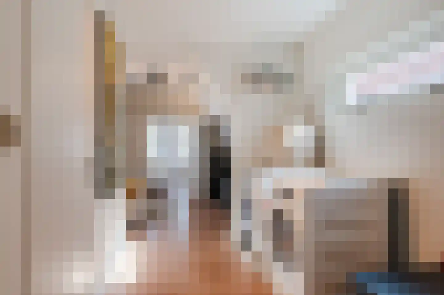 Breestraat 165 F Leiden thumbnail 20
