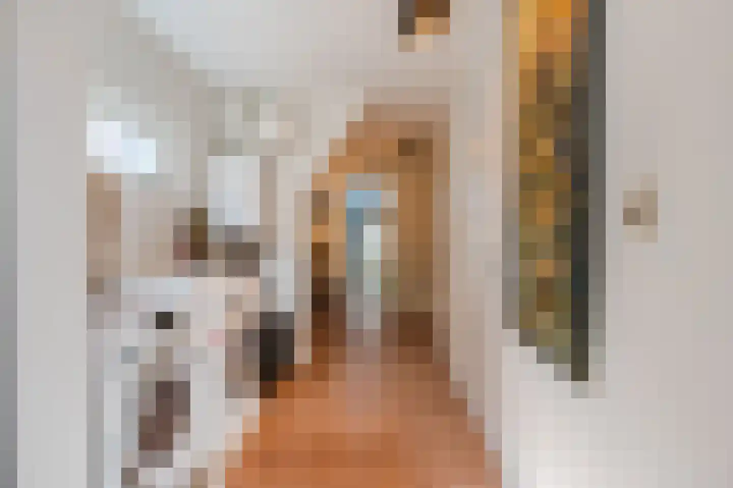Breestraat 165 F Leiden thumbnail 21