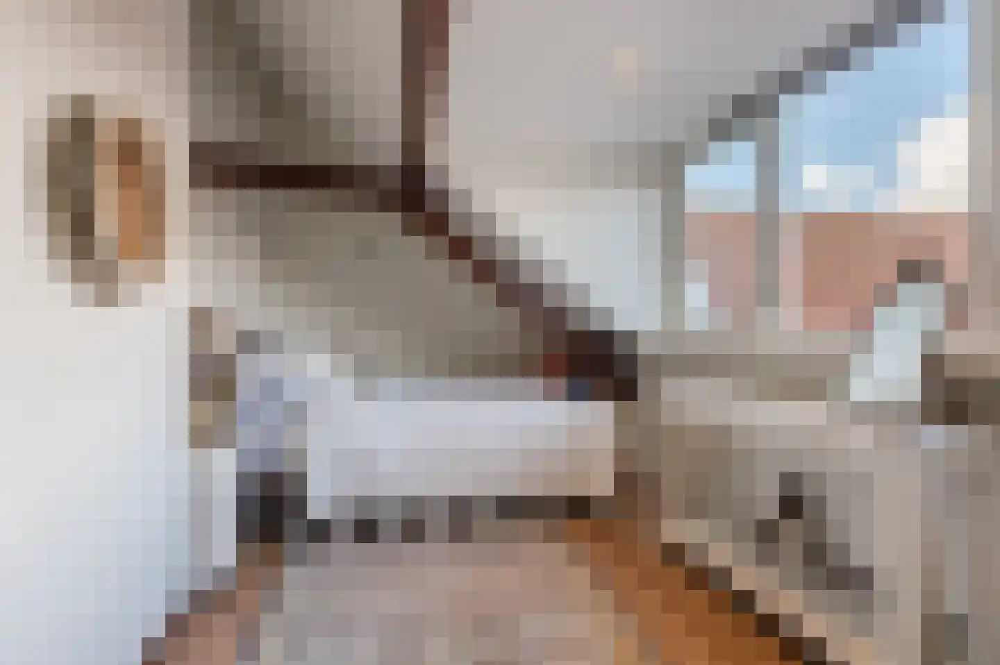 Breestraat 165 F Leiden thumbnail 28