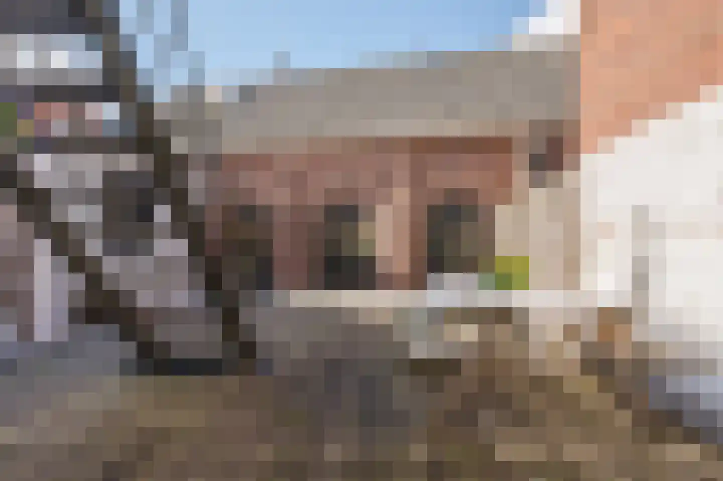 Breestraat 165 F Leiden thumbnail 34