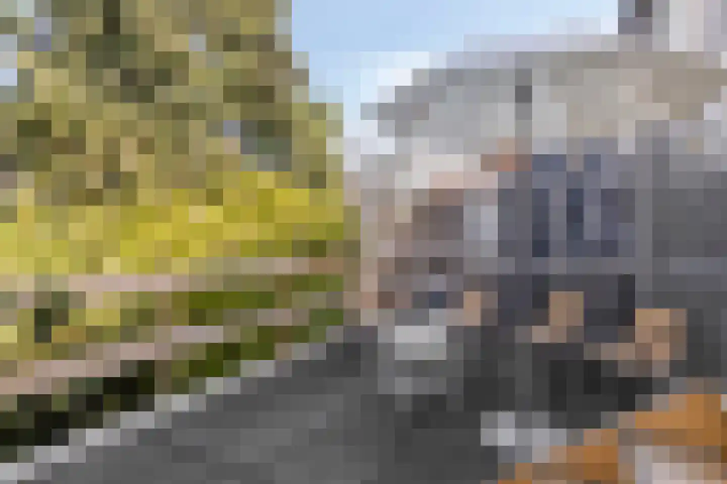 Breestraat 166 A Beverwijk thumbnail 17