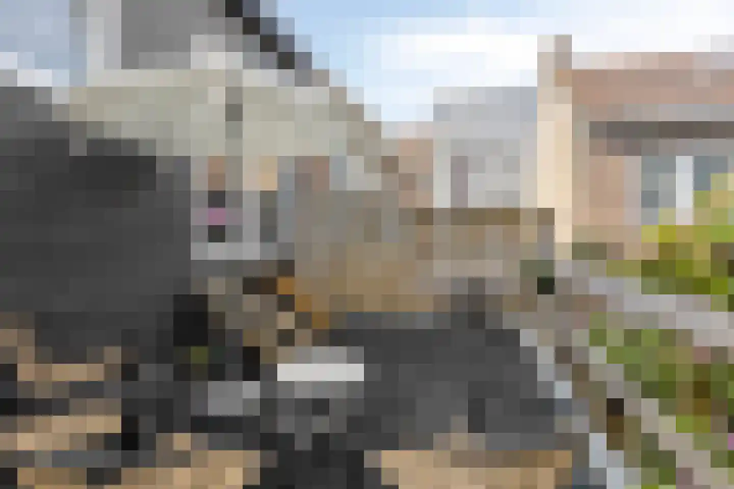 Breestraat 166 A Beverwijk thumbnail 19