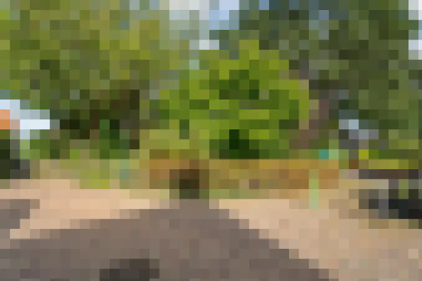 Breestraat 17 Blokzijl thumbnail 11