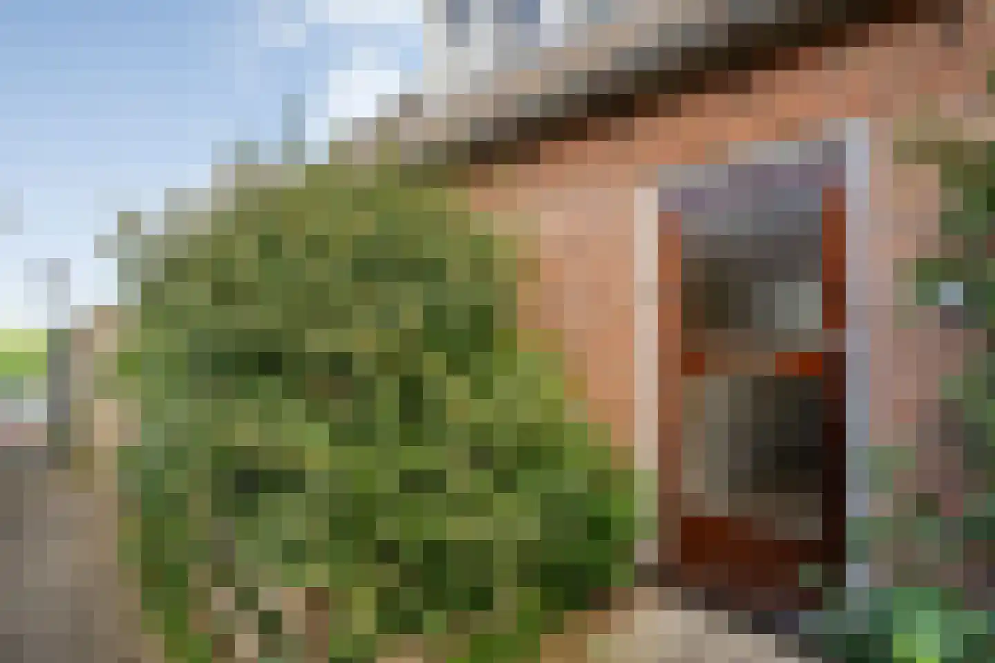 Breestraat 17 Blokzijl thumbnail 14
