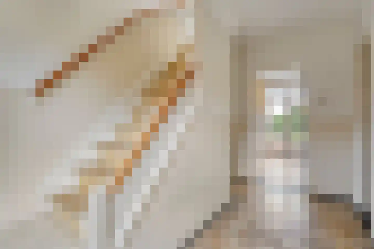Breestraat 17 Blokzijl thumbnail 17
