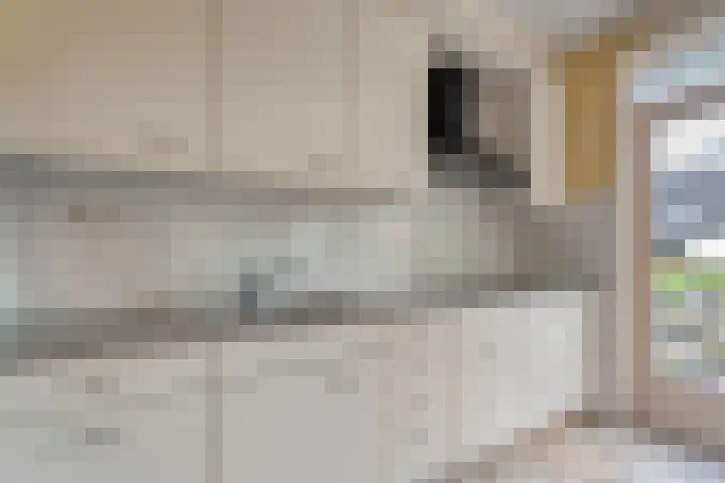 Breestraat 17 Blokzijl thumbnail 20