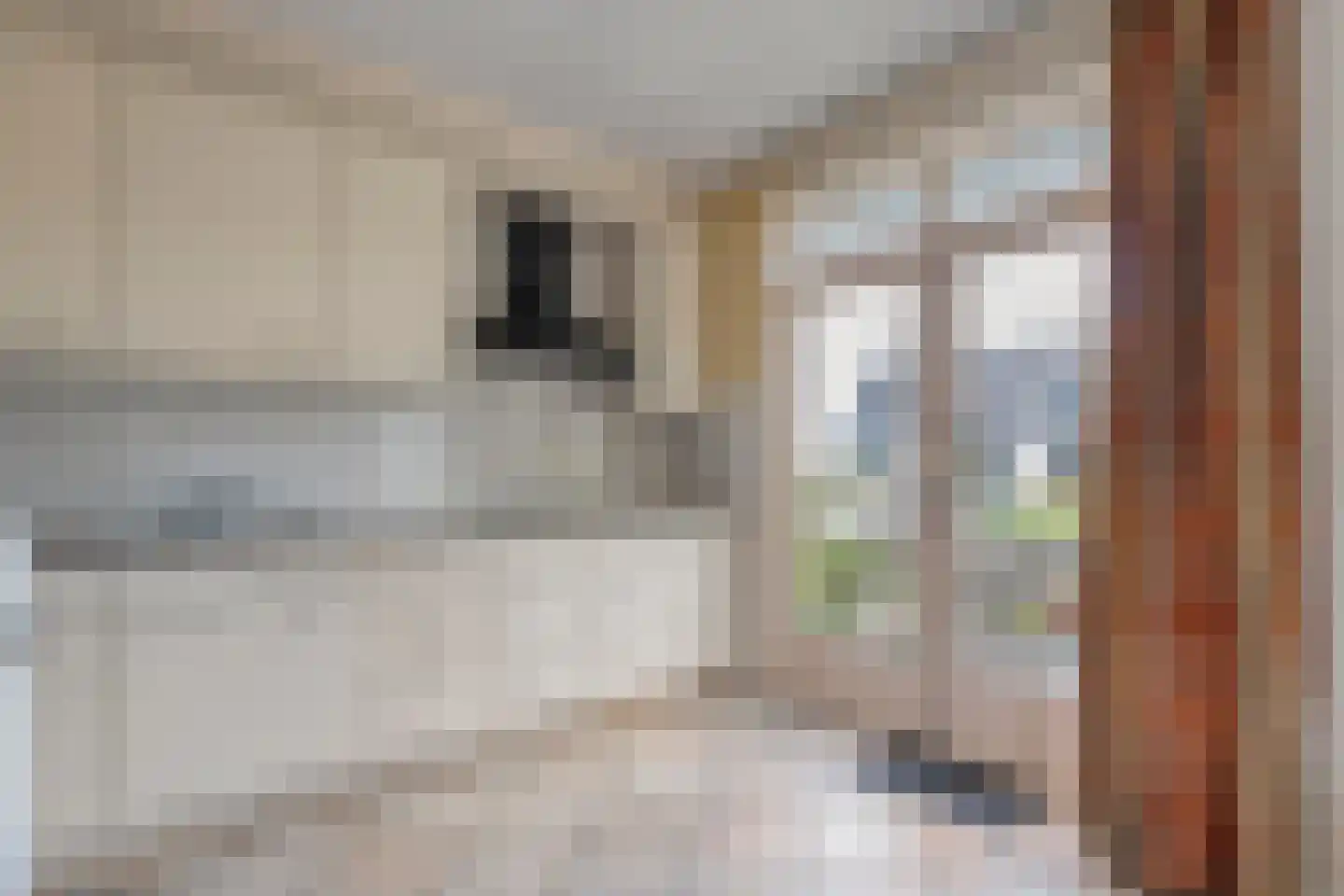 Breestraat 17 Blokzijl thumbnail 22