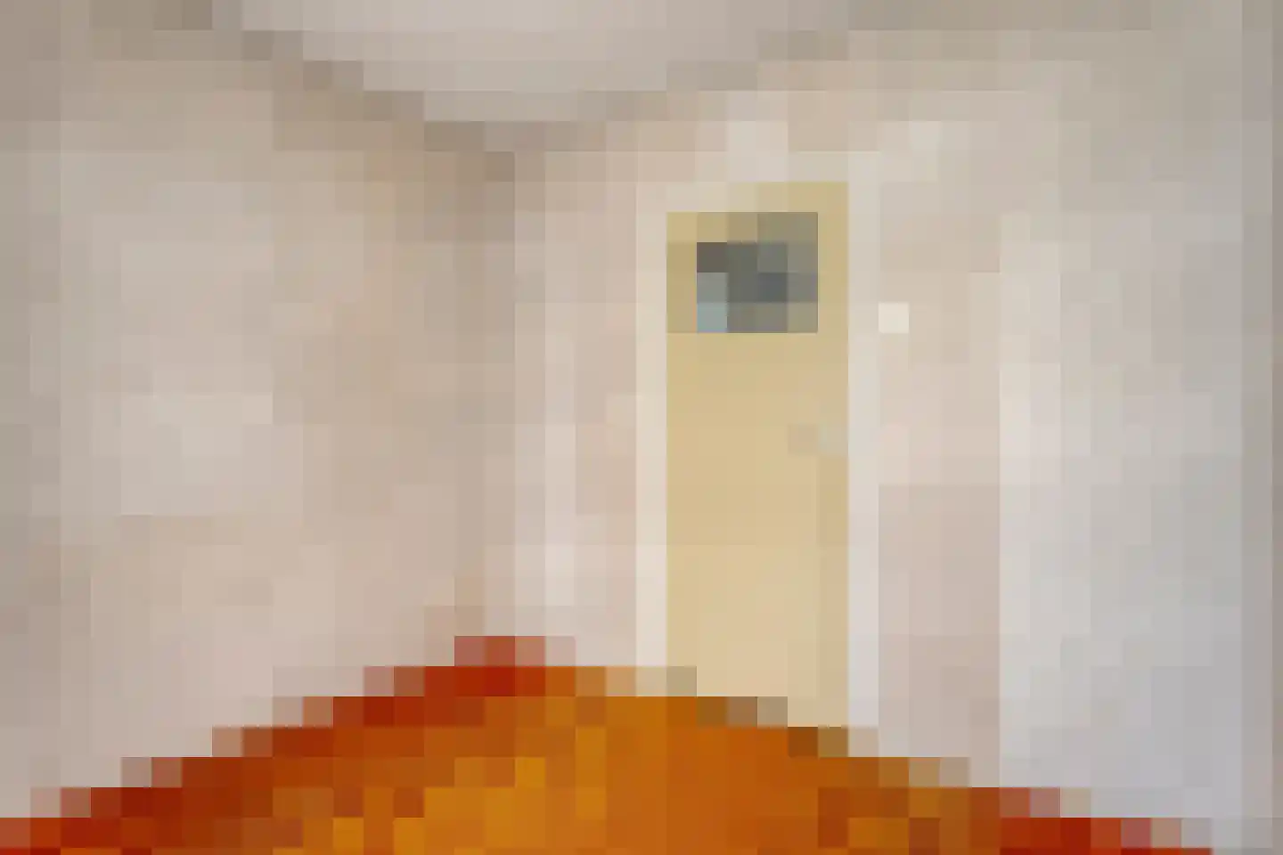 Breestraat 17 Blokzijl thumbnail 24