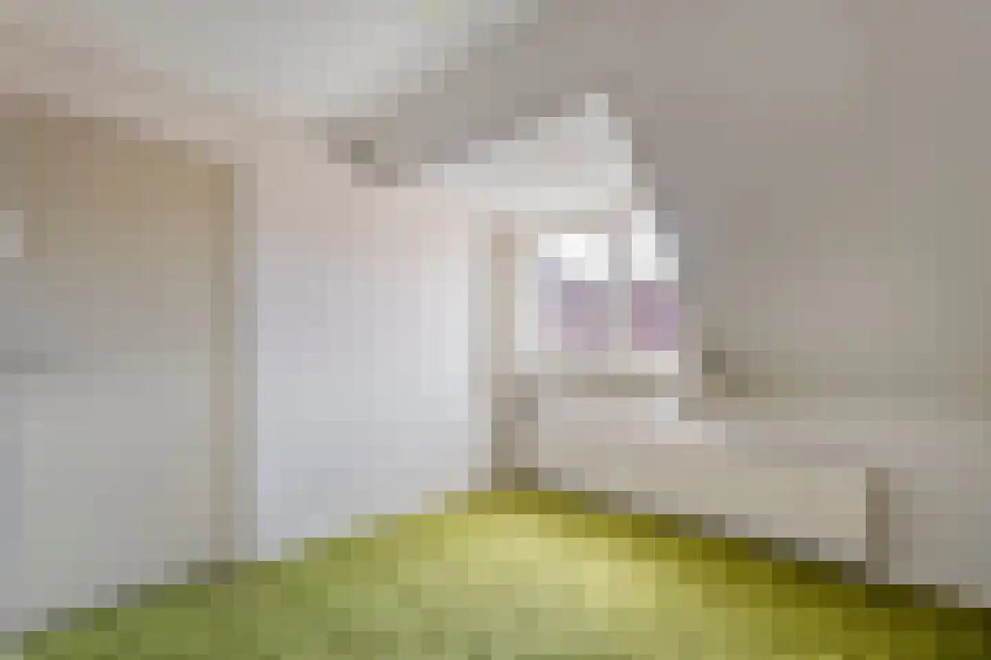 Breestraat 17 Blokzijl thumbnail 36