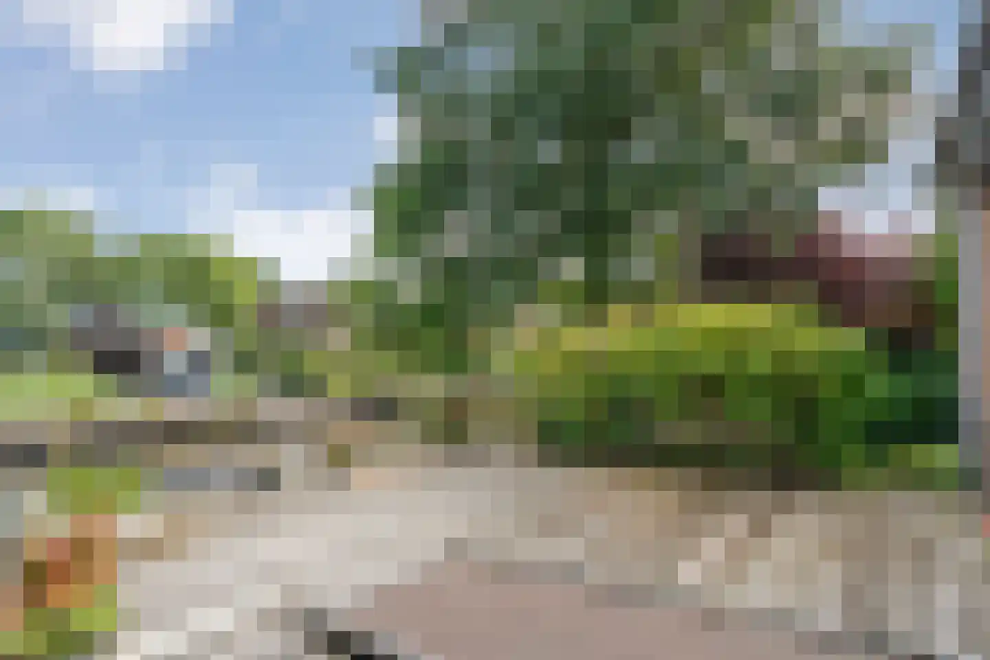 Breestraat 17 Blokzijl thumbnail 4