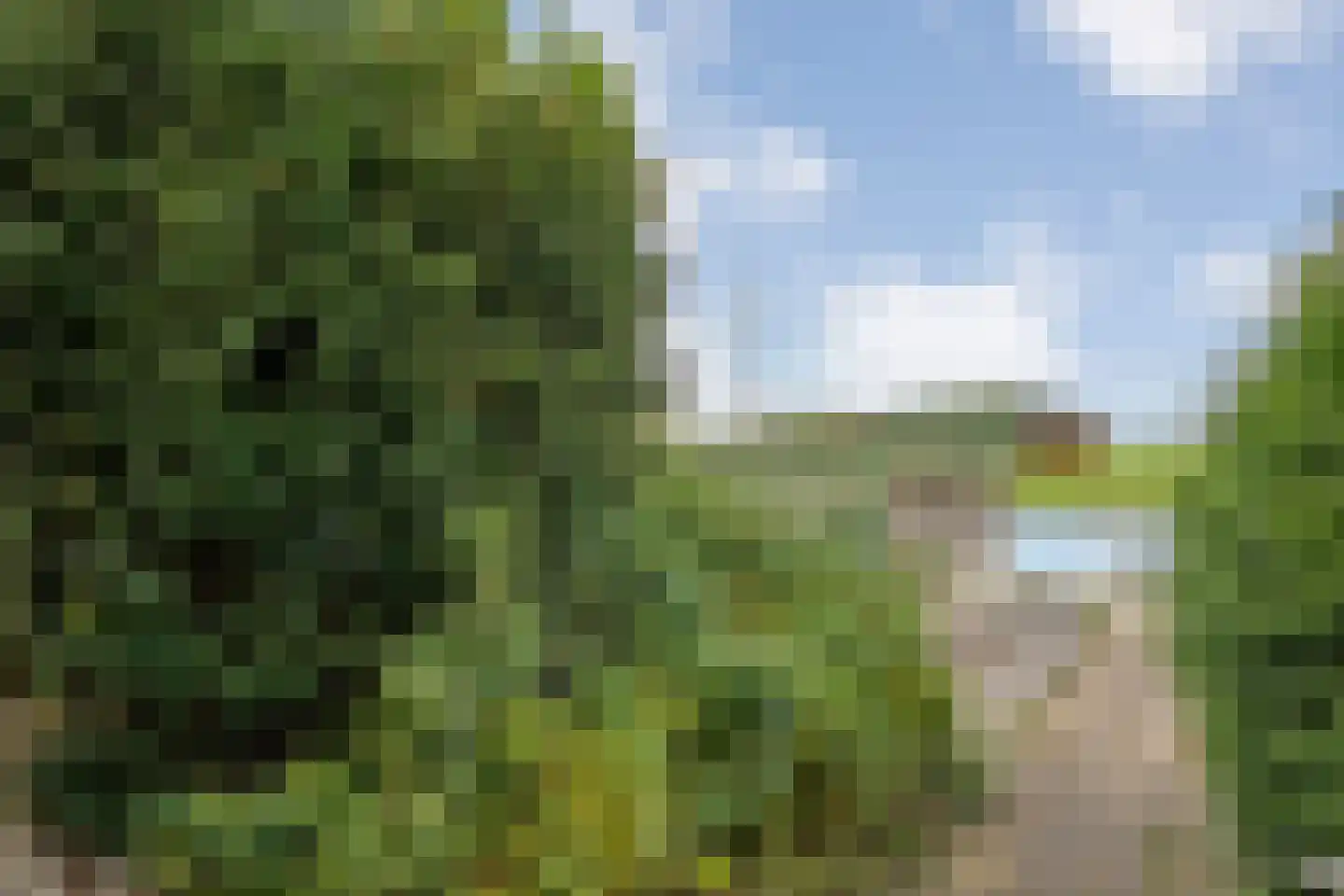 Breestraat 17 Blokzijl thumbnail 43
