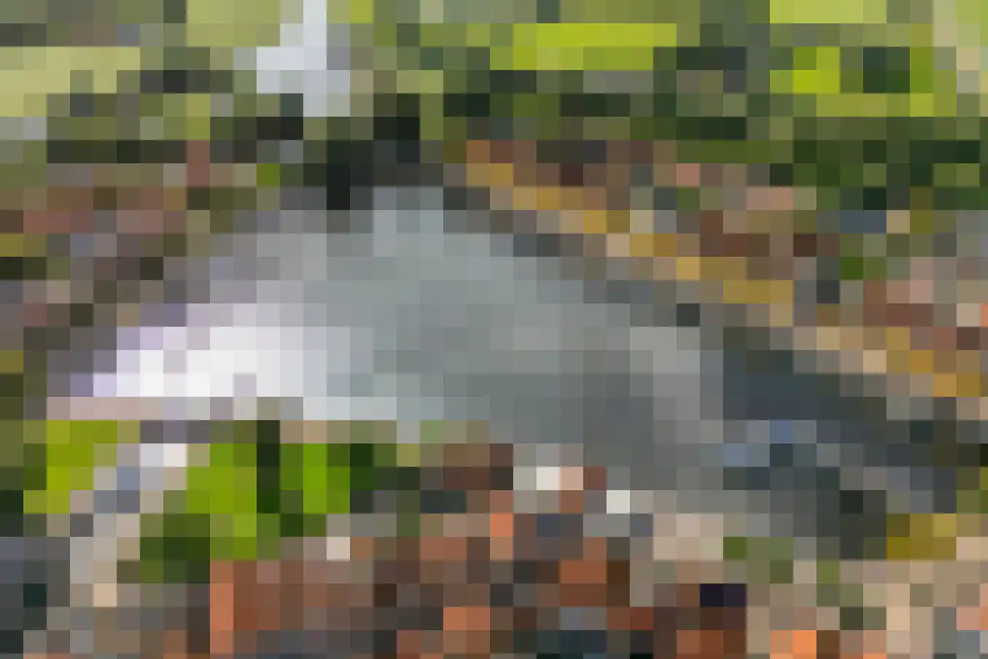 Breestraat 17 Blokzijl thumbnail 8