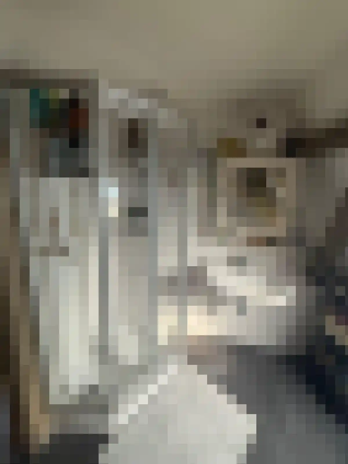 Breestraat 19 Leiden thumbnail 6
