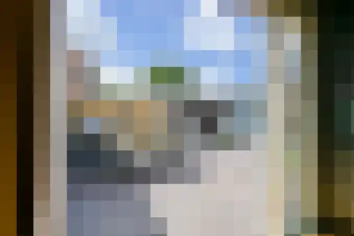 Breestraat 19 Middenmeer thumbnail 18