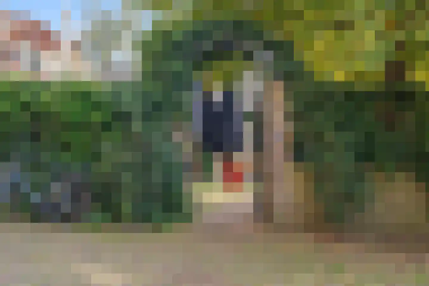 Breestraat 2 B Amersfoort thumbnail 34