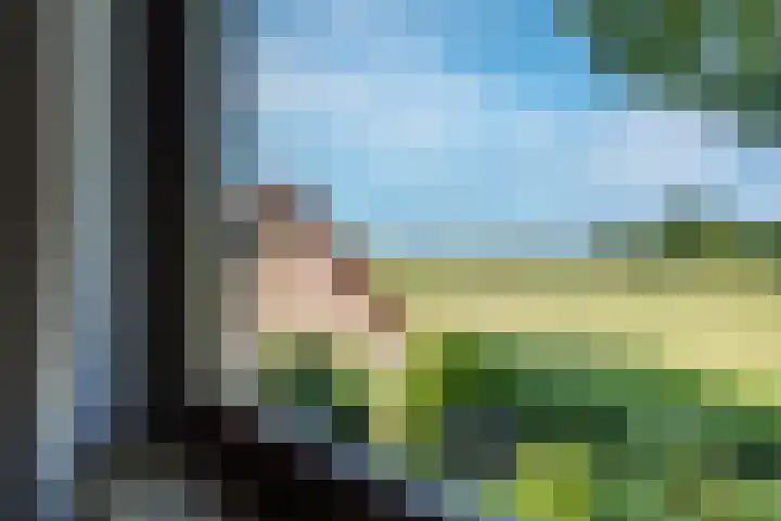 Breestraat 22 Maasbree thumbnail 37