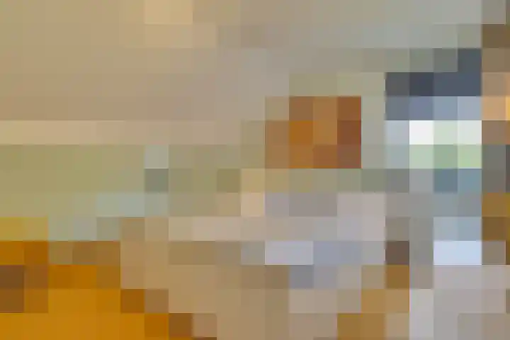 Breestraat 22 Maasbree thumbnail 38