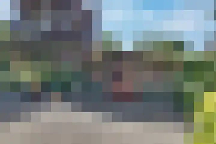 Breestraat 22 Maasbree thumbnail 45