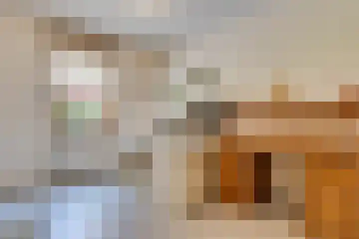 Breestraat 22 Maasbree thumbnail 9