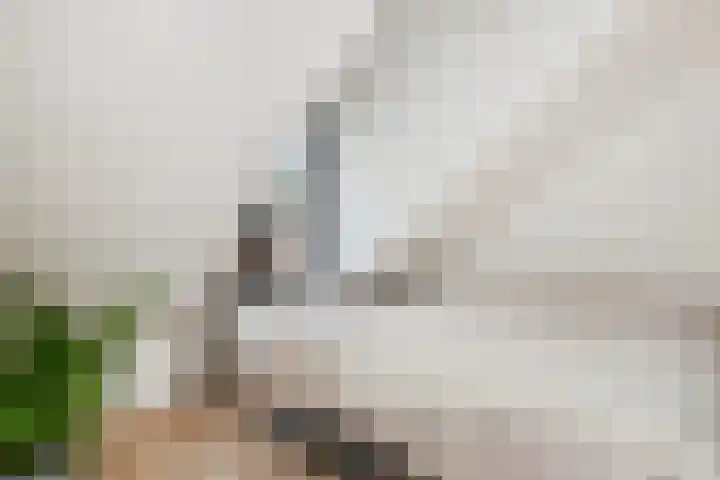 Breestraat 23 Delft thumbnail 36