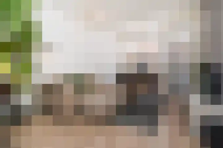Breestraat 23 Delft thumbnail 9