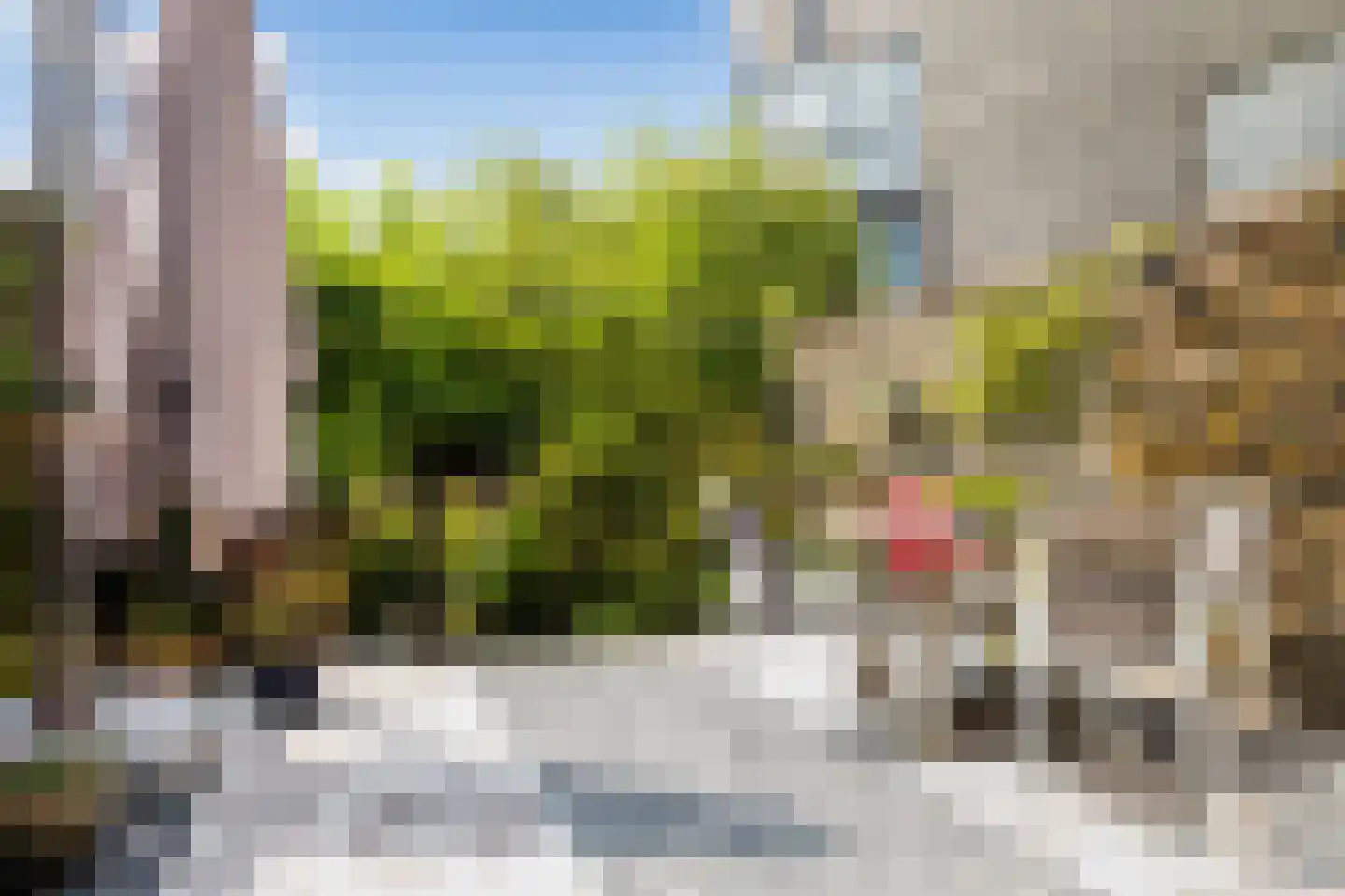 Breestraat 28 Amersfoort thumbnail 12