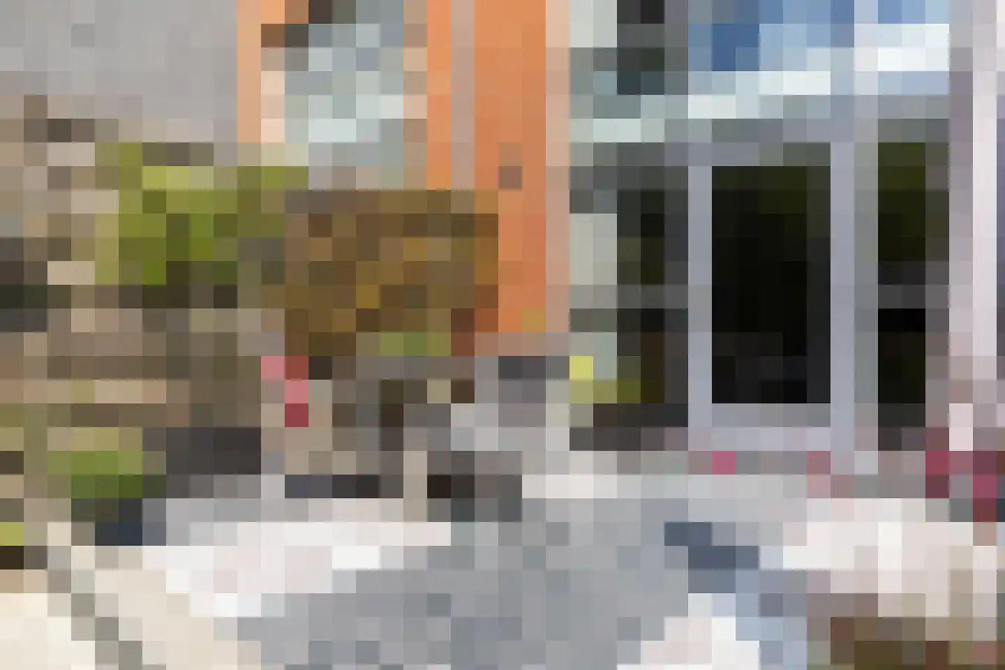 Breestraat 28 Amersfoort thumbnail 14