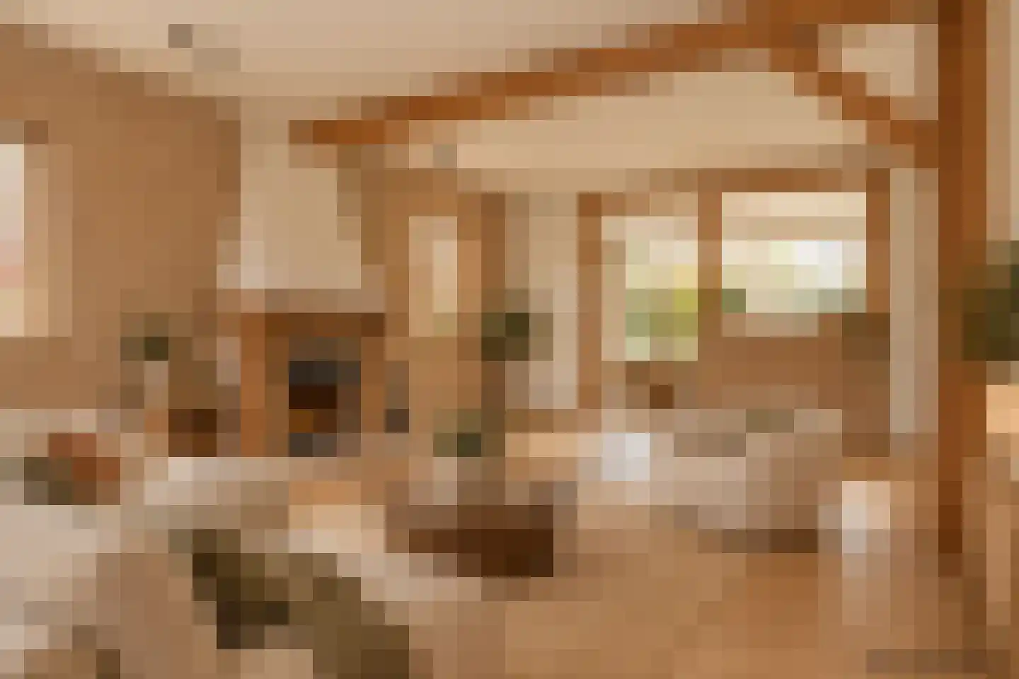 Breestraat 3 A Sint Anthonis thumbnail 9