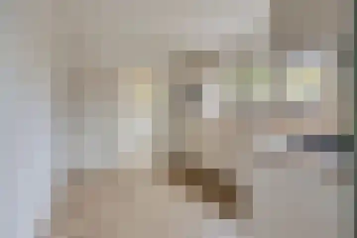 Breestraat 36 Sint Anthonis thumbnail 8