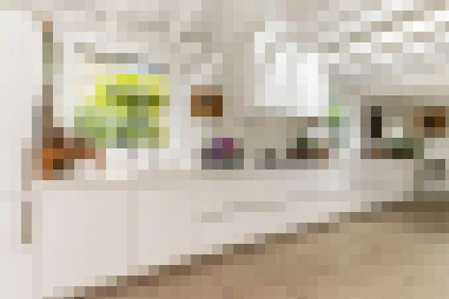 Breestraat 37 Heusden thumbnail 13