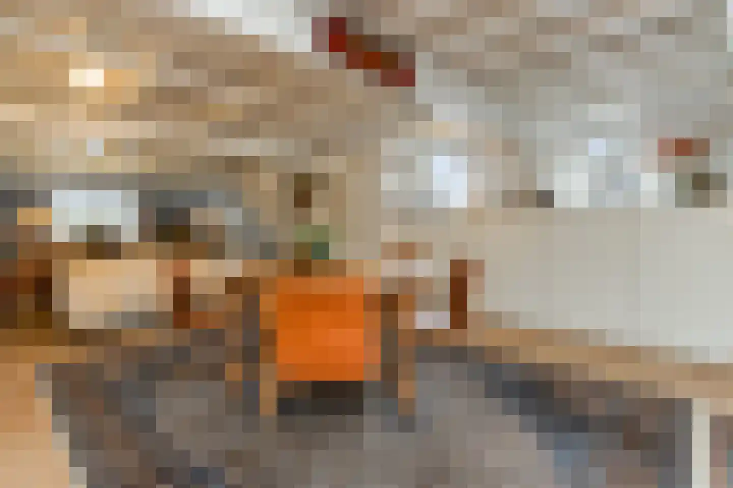 Breestraat 37 Heusden thumbnail 27