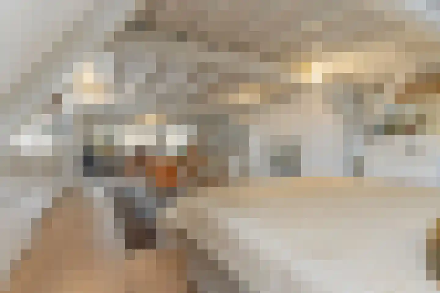 Breestraat 37 Heusden thumbnail 28