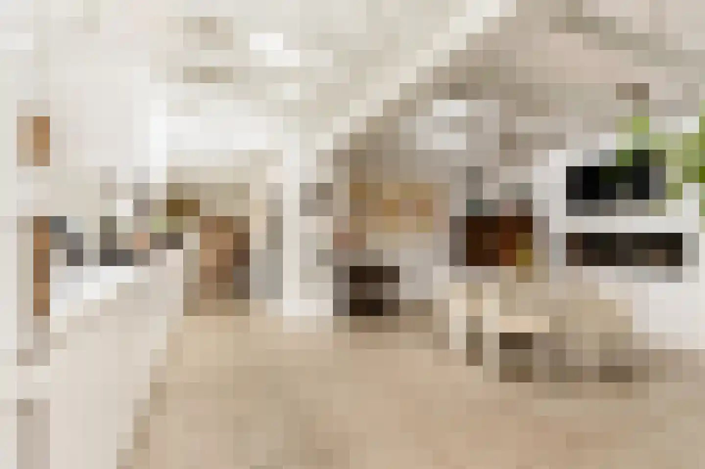 Breestraat 37 Heusden thumbnail 5