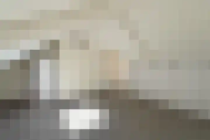 Breestraat 47 A Marknesse thumbnail 25