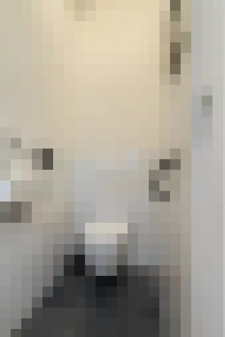 Breestraat 47 A Marknesse thumbnail 9