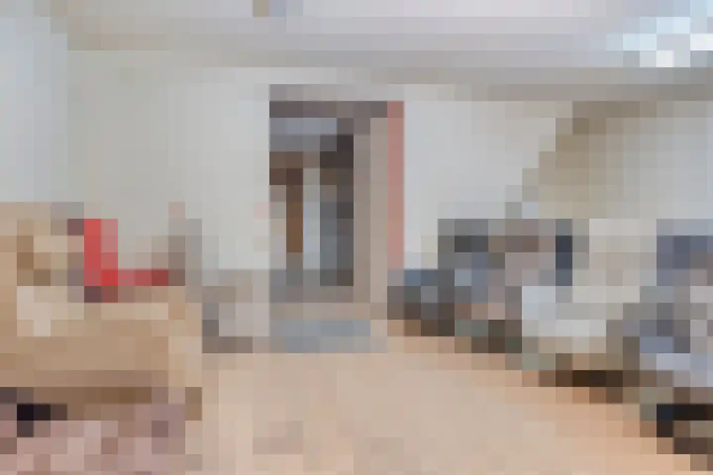 Breestraat 48 A Marknesse thumbnail 18