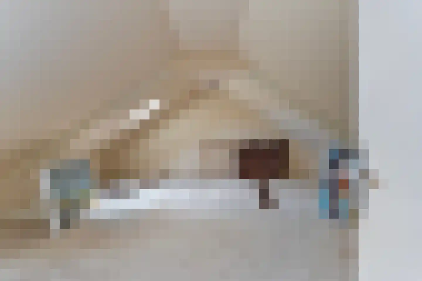 Breestraat 48 A Marknesse thumbnail 23