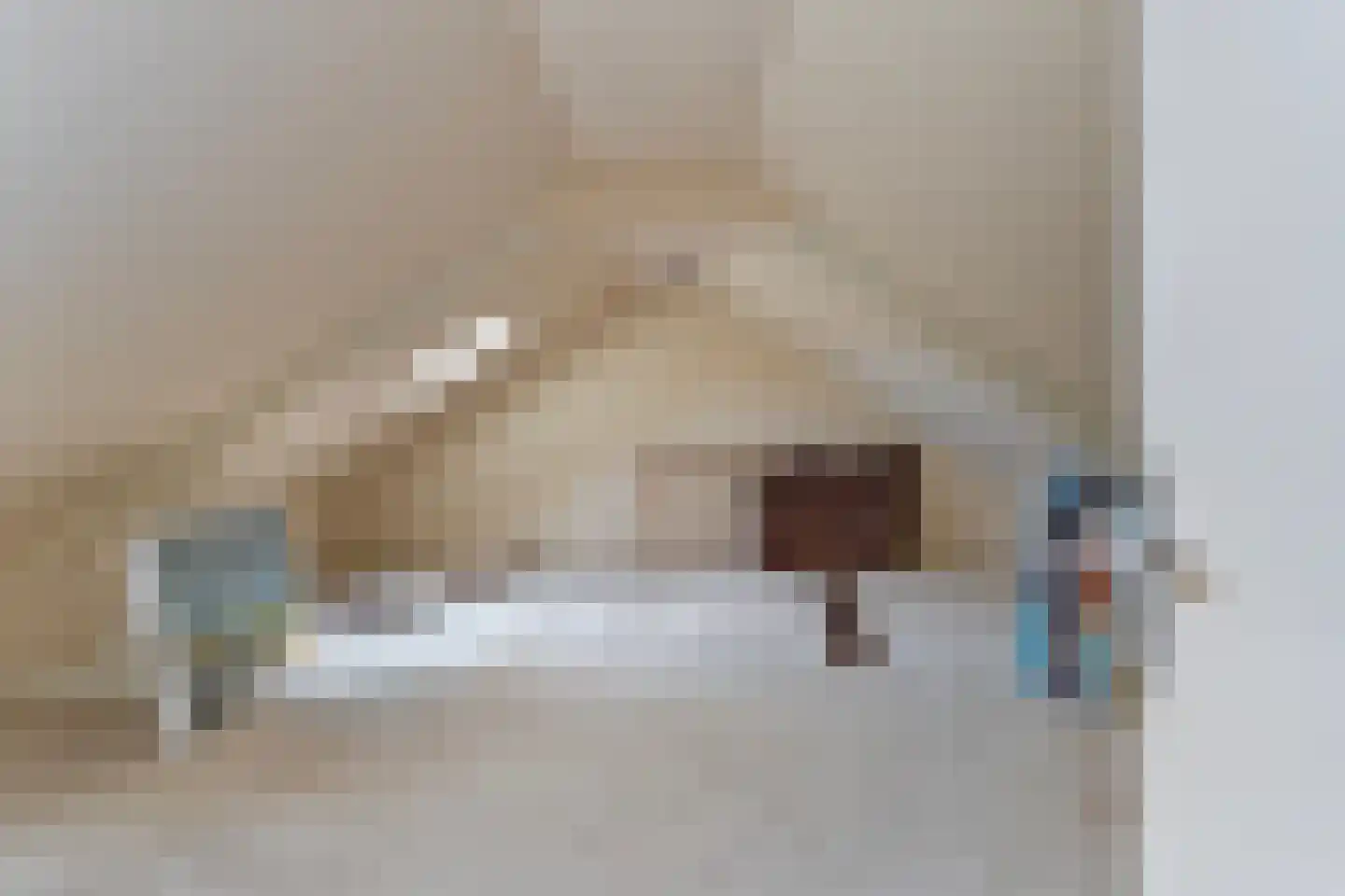 Breestraat 48 A Marknesse thumbnail 24