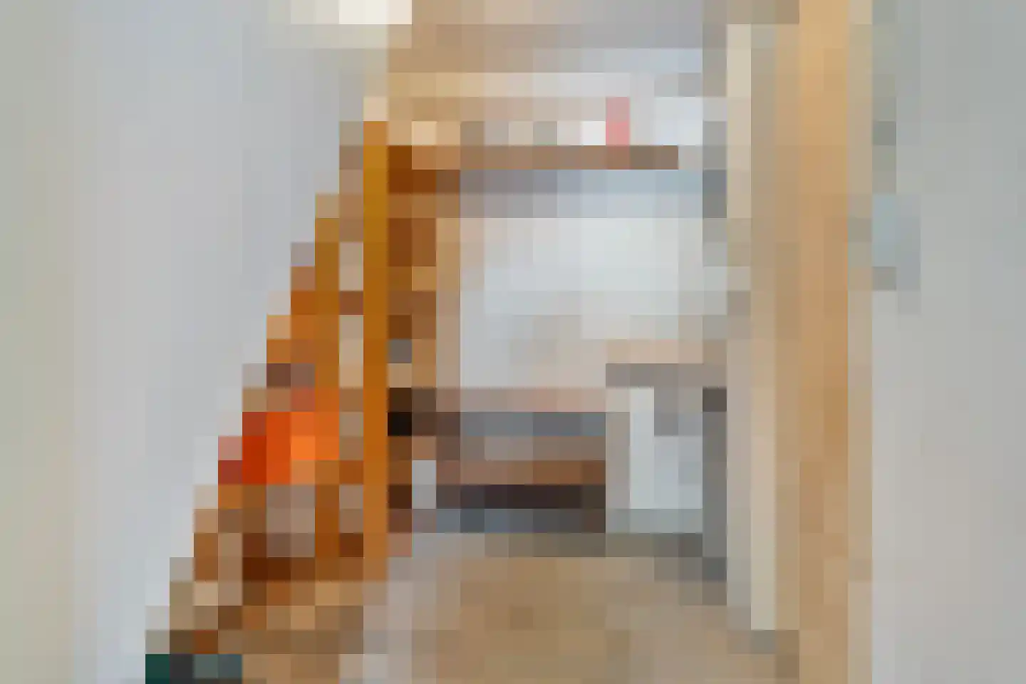 Breestraat 48 A Marknesse thumbnail 30
