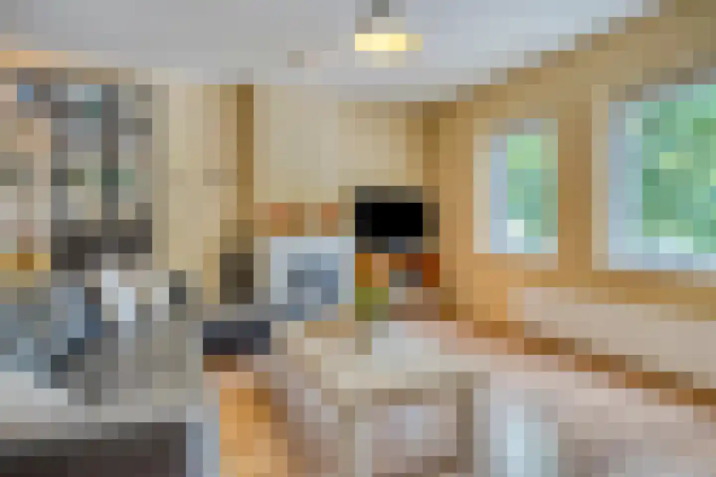 Breestraat 48 A Marknesse thumbnail 9