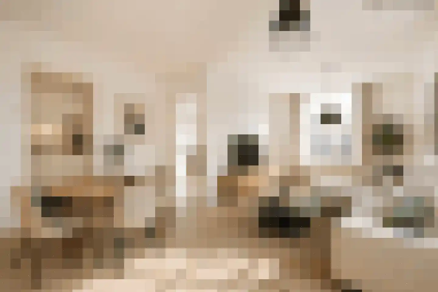Breestraat 54 D Leiden thumbnail 6