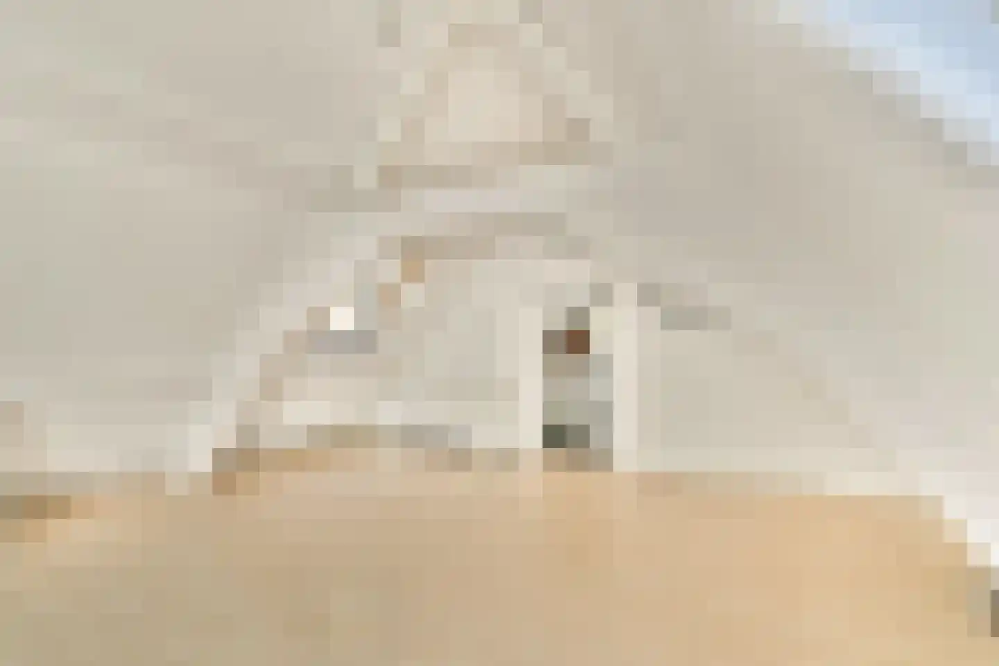 Breestraat 54 E Leiden thumbnail 7