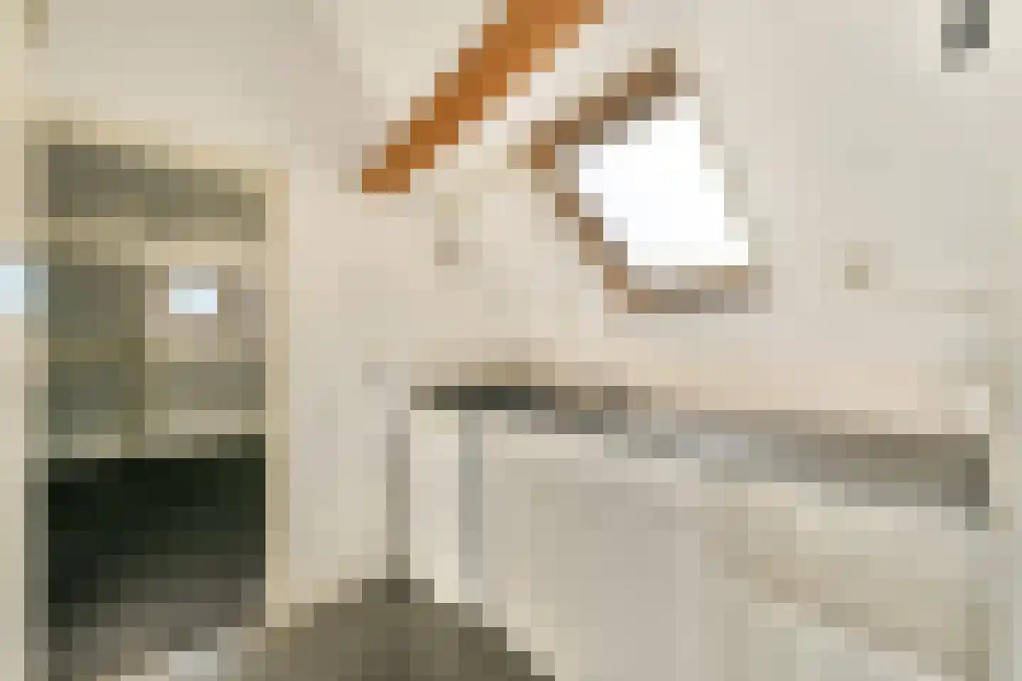 Breestraat 54 E Leiden thumbnail 9