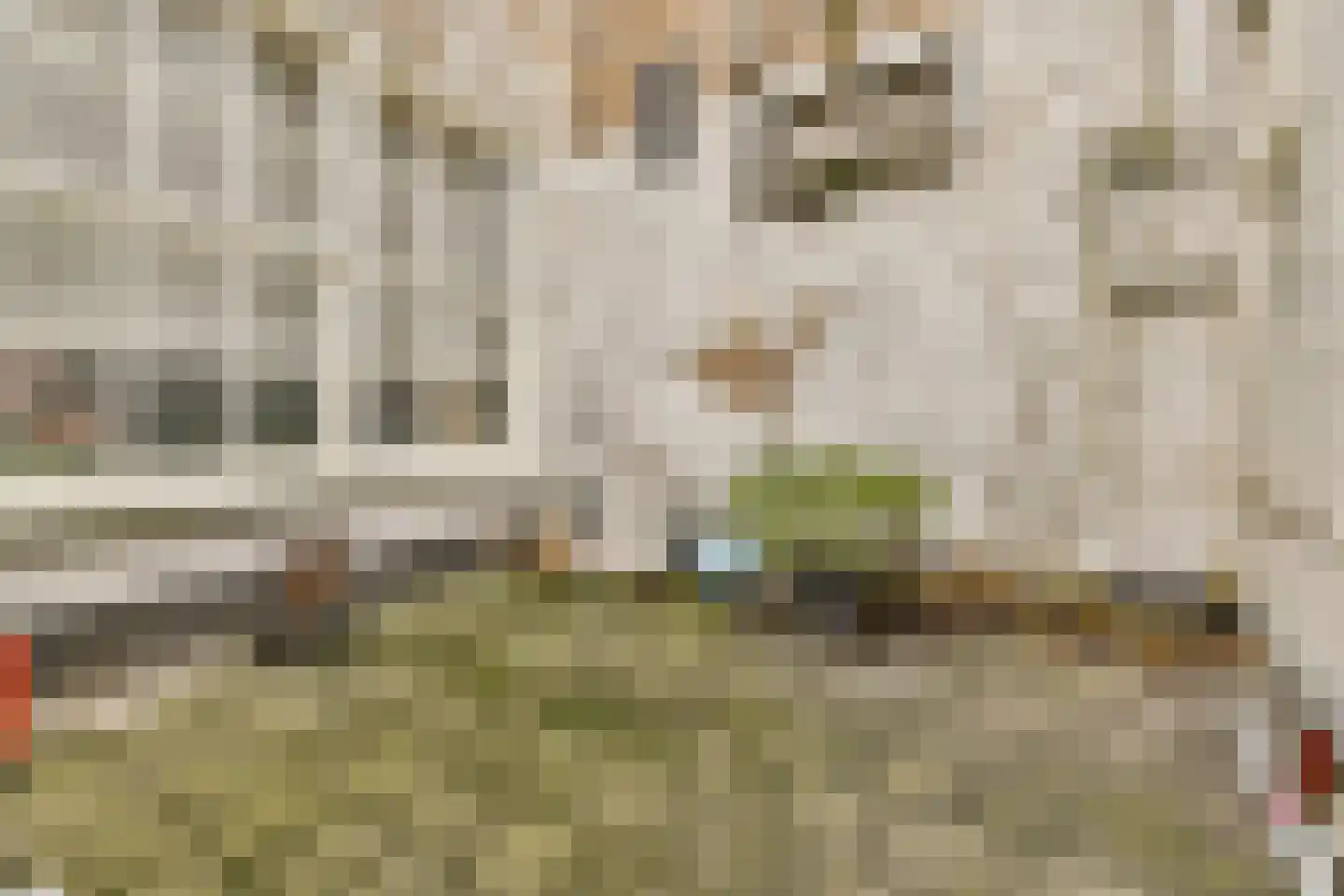 Breestraat 54 F Leiden thumbnail 18