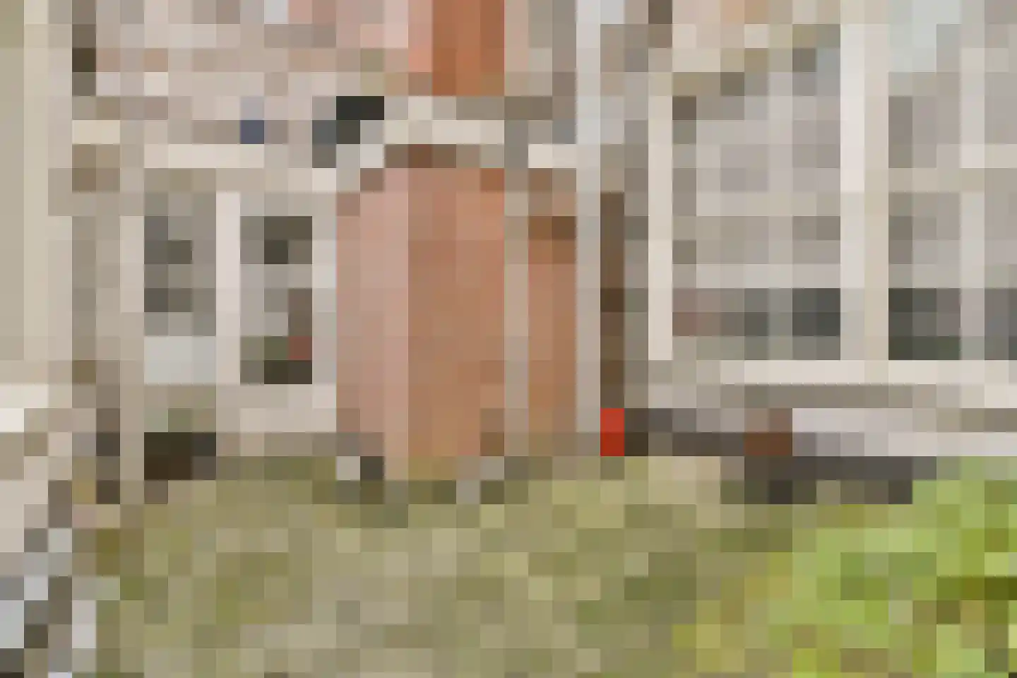 Breestraat 54 F Leiden thumbnail 20
